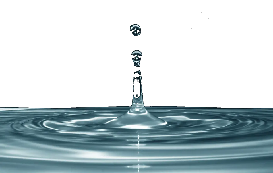 Commercial Mold Remediation Contractor Near Me